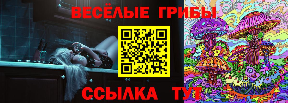 магазин  наркотиков  Вход с VPN  Рязань  Псилоцибиновые грибы мухоморы  Галлюциногенные грибы ЛСД 